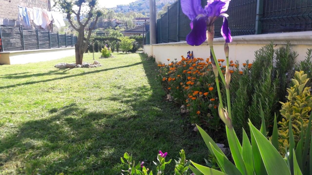 La Casina Gialla Villa Veroli Buitenkant foto