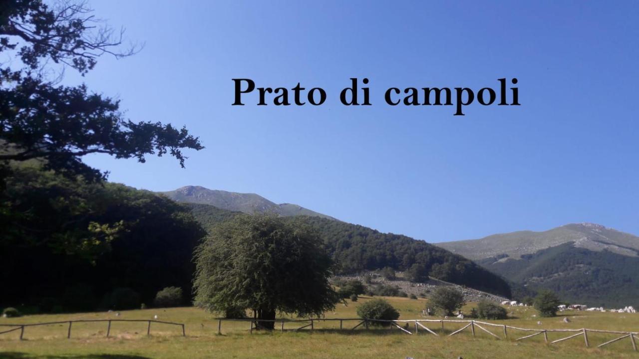 La Casina Gialla Villa Veroli Buitenkant foto
